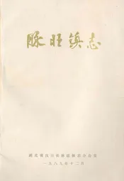 脉旺镇志