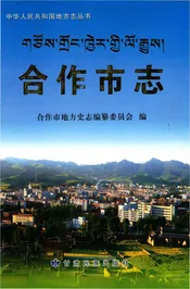 合作市志