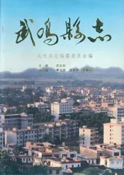 武鸣县志