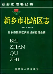 新乡市北站区志