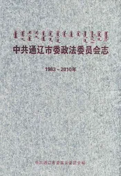 中共通辽市委政法委员会志(1983-2010年)