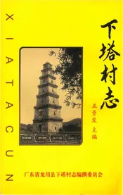 下塔村志