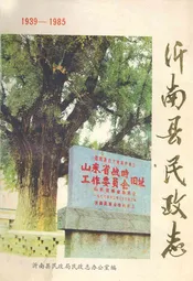 沂南县民政志
