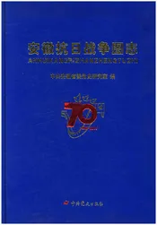 安徽抗日战争图志