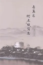 岳麓区街道镇简志