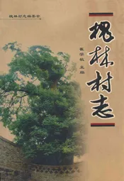槐林村志