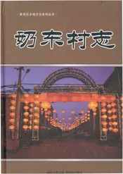 奶东村志