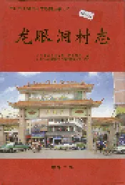龙眼洞村志