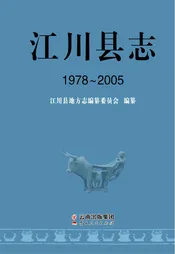 江川县志（1978-2005）