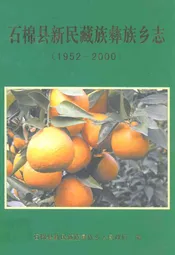 石棉县新民藏族彝族乡志(1952-2000)