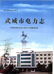 武威市电力志