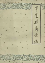 阜阳县商业志