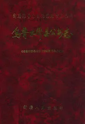 乌鲁木齐县公安志