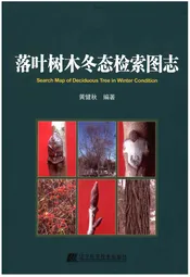 落叶树木冬态检索图志