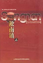 淞南镇志