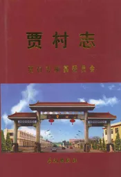 贾村志
