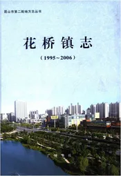 花桥镇志 1995-2006