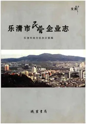 乐清市民营企业志