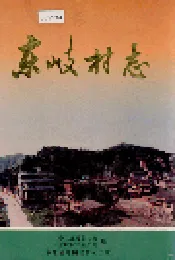 东岐村志