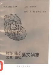 错那隆子加查曲松县文物志