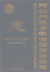 河北兴泰发电有限责任公司志1987-2002