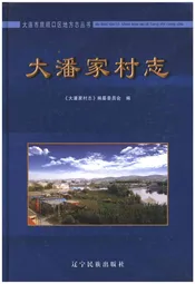 大潘家村志