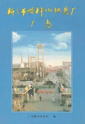 新乡市燃料化肥总厂厂志(1958~2000)