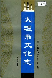 大理市文化志