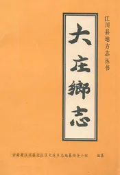 大庄乡志