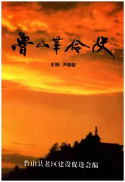 鲁山革命史