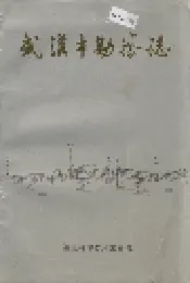 武汉市勘察志