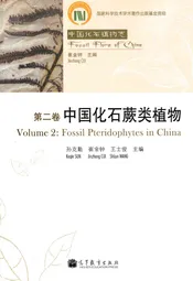 第二卷中国化石蕨类植物