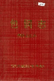 包钢志 集体企业志