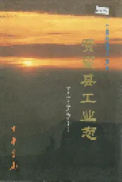 赞皇县工业志