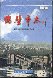 鹤壁市志下
