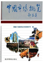中国市场概览