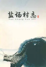 盐场村志