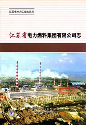 江苏省电力燃料集团有限公司志