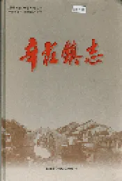 辛庄镇志