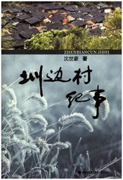 圳边村纪事