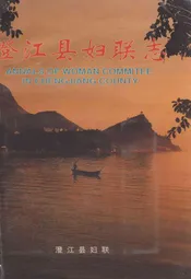 澄江县妇联志