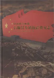 汶川特大地震石棉县乡镇抗震救灾志