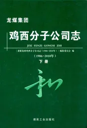 鸡西分子公司志(1986-2010)下册