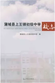 蒲城县上王镇初级中校志