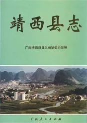 靖西县志