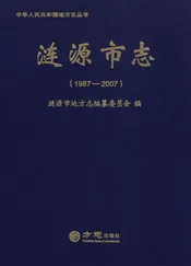 涟源市志（1987—2007）