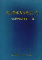 天生桥水力发电总厂志