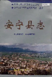 安宁县志