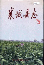 襄城县志