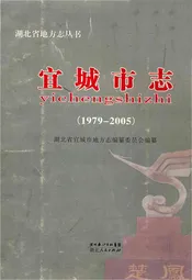 宜城市志(1979-2005)